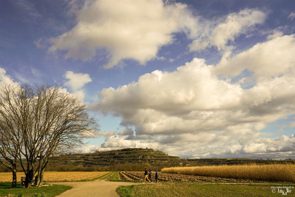Auf dem Weg zum Tuniberg